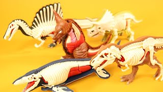 Kaiju & Dinosaurs Dismantling -Godmolla -