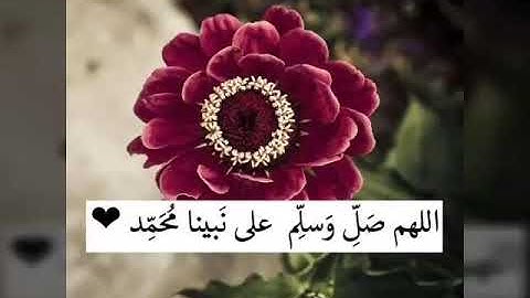 الشيخ جابر شرقاوي جامع سيدي عمر صلاة الفجر ماتيسر من سورة الكهف