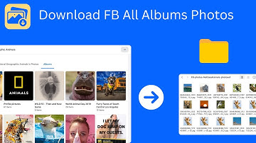 How to download Facebook all albums photos?