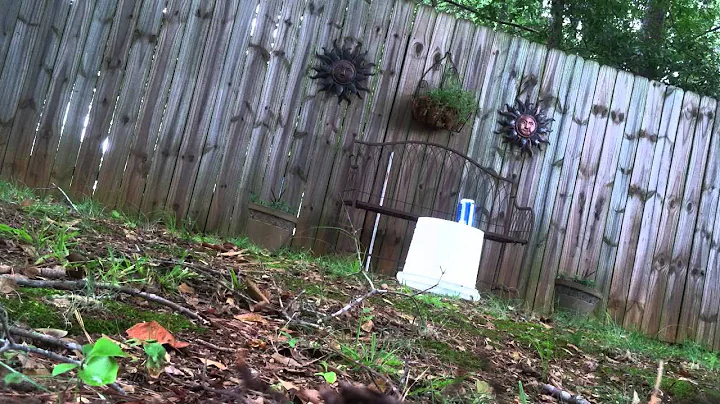 Aguila Colibri (super quiet) 22lr bullet vs Full Soda Can