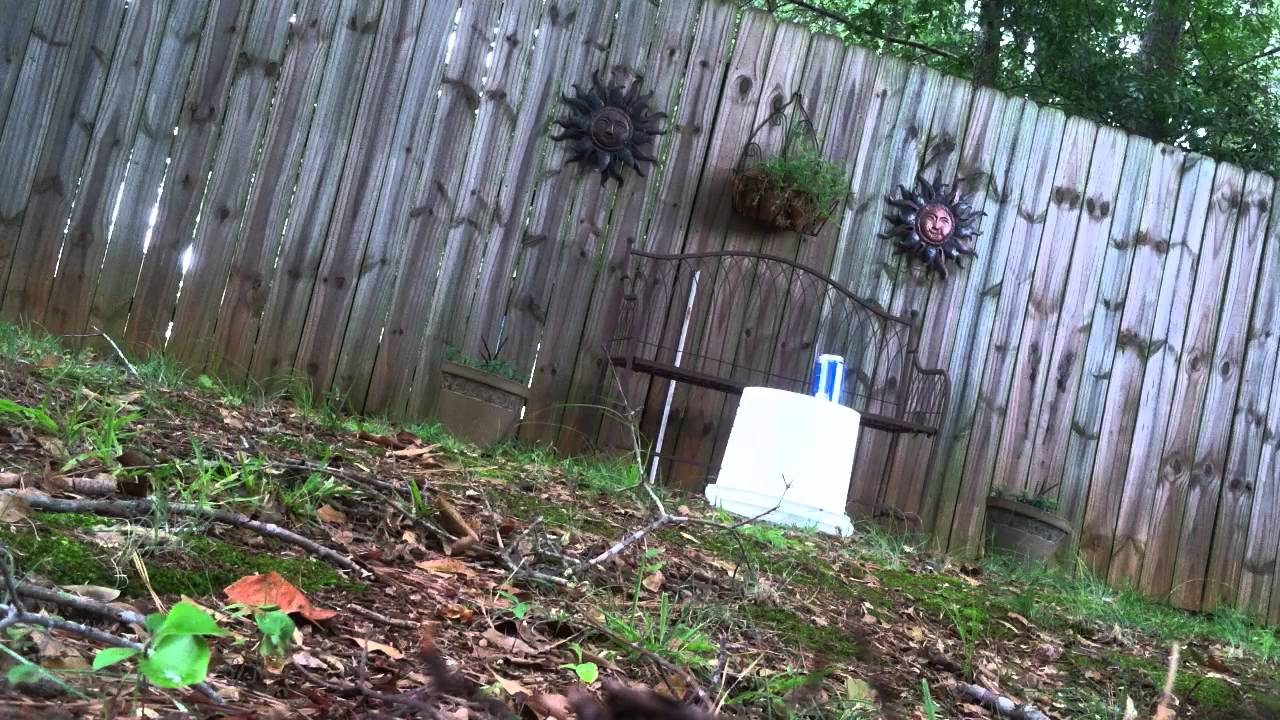 Aguila Colibri (super quiet) 22lr bullet vs Full Soda Can