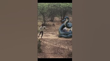 Anaconda Snake Attack in Real Life | Big Python Snake in Real Life | @VbfilmsShorts100 #shorts