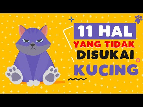 Video: 10 Alasan Mengapa Kucing Anda Seharusnya Kucing Dalam Ruangan