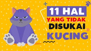 11 Hal ini tidak disukai kucing kamu - kamu wajib tahu siapa tau sering melakukannya by Tukang Trik 24,626 views 3 years ago 7 minutes, 34 seconds