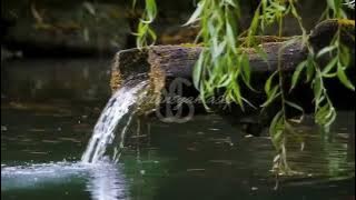 Download lagu DEGUNG SUNDA DAUN PUGUR @yusriansyahasep