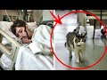 Hospiz-Katze kratzt an Tür von Patientenzimmer... Später hört die ganze Welt von der Geschichte...