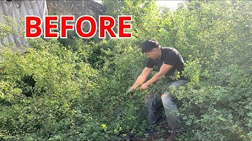 10 hours in 30 MINUTES | I can