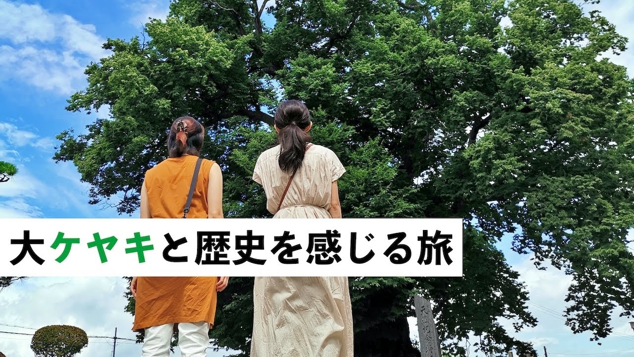 【東根市編 】大ケヤキと歴史を感じる旅