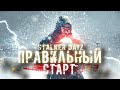 КАК ПРАВИЛЬНО НАЧАТЬ ИГРАТЬ в STALKER RP DAYZ? Как играть в Сталкер Дейз РП ГАЙД? ЛУЧШИЙ СТАРТ!