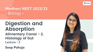 Digestion and Absorption | Alimentary Canal - 2, Histology of Gut | L2 | NEET 2022/23 | Seep Pahuja