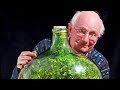 In 1960 david latimer planted a spiderwort sprout inside of a large glass bottle