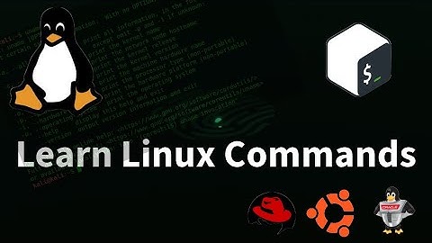 Master Essential Linux Commands: A Beginner