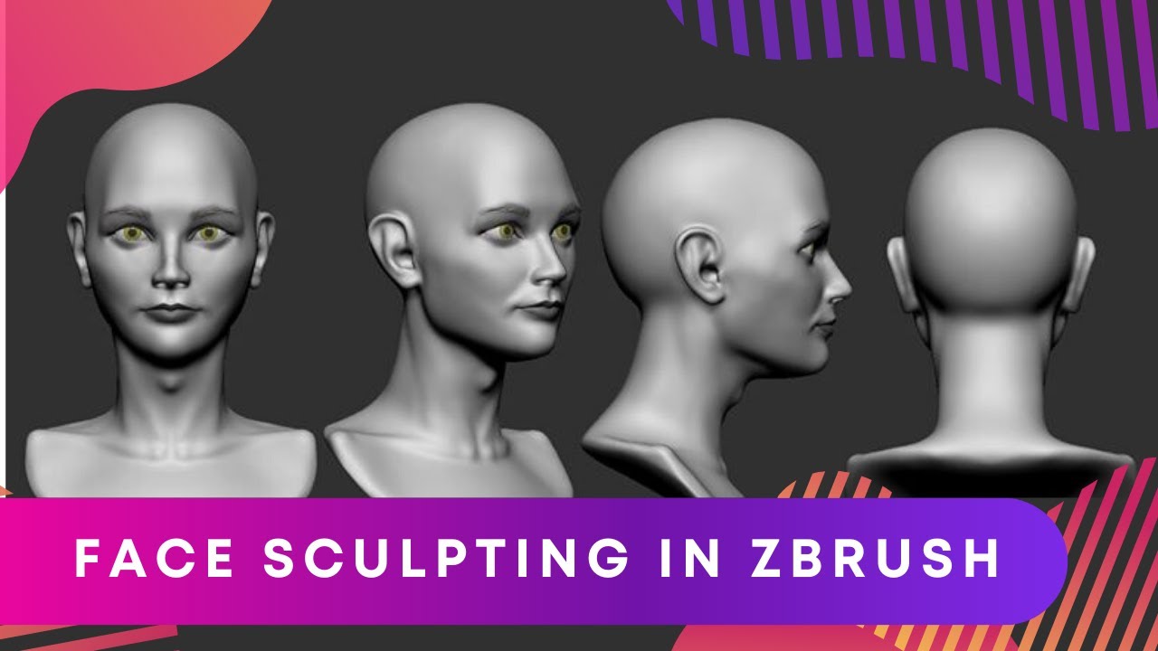 zbrush female anatomy tutorial