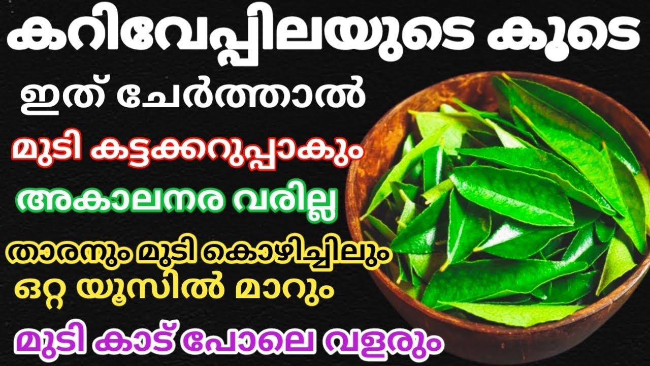 മുടി കറുപ്പായി  വളരാൻ കറിവേപ്പിലയുടെ കൂടെ ഇത്ര ചേർത്താൽ മതി||Hair fall remedy