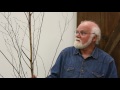 Whittling with Chris #1: Choosing Wood Whittling with Chris #1: Choosing Wood