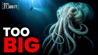 New Mariana Trench Footage Reveals a Living Creature Where Nothing Should Survive