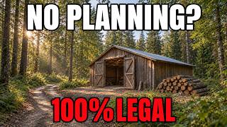 15 Things You Can Legally Build In Your Own Uk Woodland Without Permission