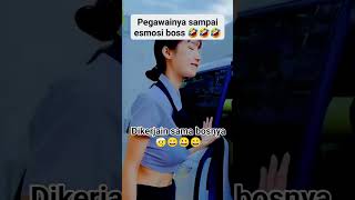 Pegawai Nya Sdanai Emosi Di Kerjain Bos Nya gemoy beranda go4000jamtayang cewekcantik