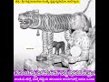 Tiger is God here ಹುಲಿಯನ್ನು ದೇವರೆಂದು ಪೂಜಿಸುತ್ತಾರೆ! @Mekkekatte, Udupi District, ನೂರಾರು ಮರದ ಮೂರ್ತಿಗಳು