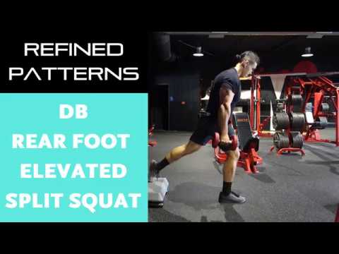 Refined Patterns - Dumbbell Rear Foot Elevated Split Squat - YouTube
