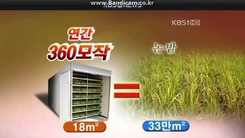 KBS [하이드로팜 조사료]