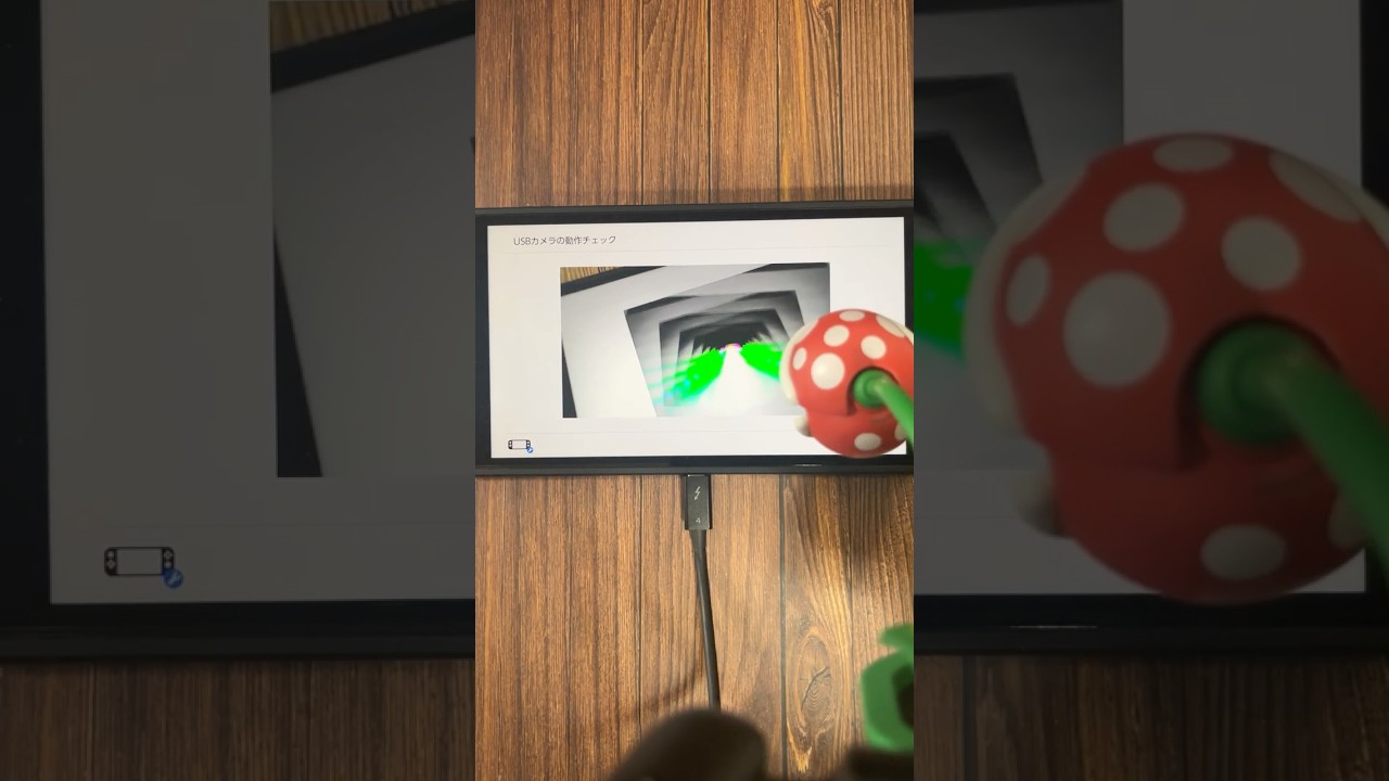 Switch2 カメラの映像をカメラで映すと