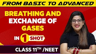 Breathing And Exchange Of Gases In One Shot | JEE/NEET/Class 11th Boards || Victory Batch screenshot 4