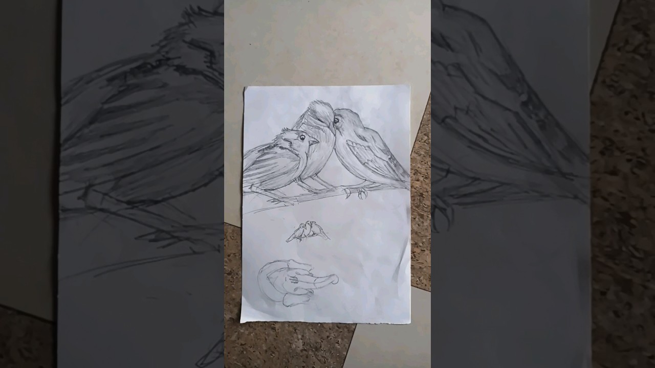 Sparrow drawing | How to draw Sparrow | How to draw a Sparrow 