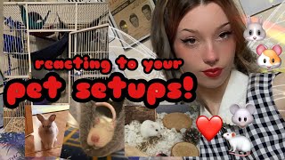 reacting to my subscribers pet enclosures!! (part 1)