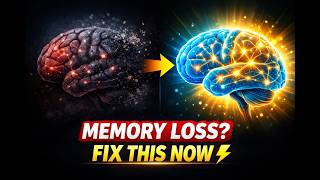TOP 3 Simple Ways to Reverse Memory Loss After 60 (Backed by Science) Profile