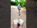 प्यारी बछिया #cow #shortsfeed #cows #shortvideo #gaumata #ytshorts #cowvideos #shorts #cowvideo #yt