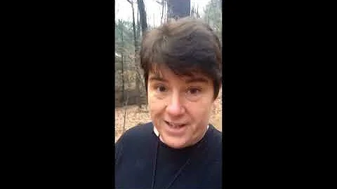 Cindy Foster video collection