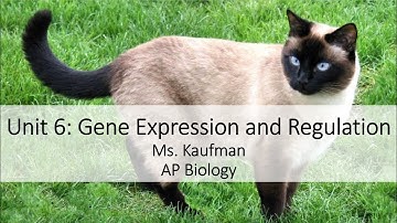 AP Biology Unit 6 Video 2