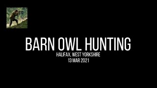 Barn Owl Hunting - 13/03/2021 (Calderdale)