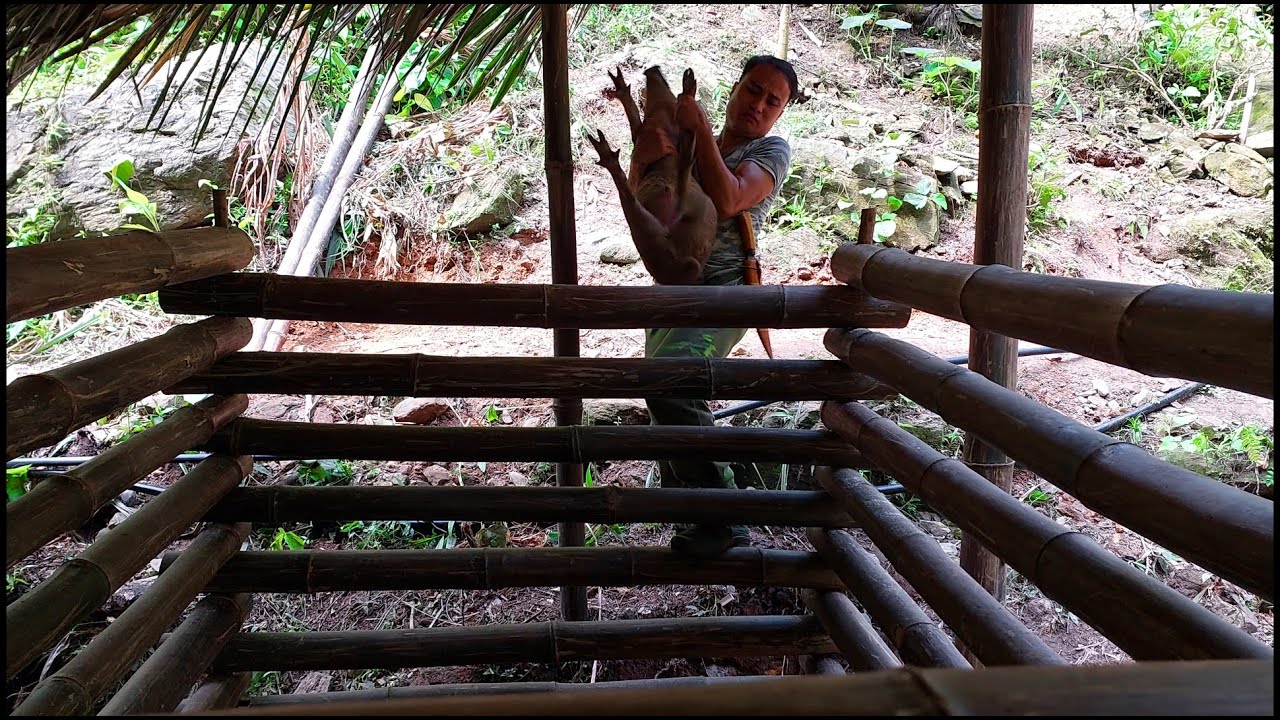 Building a cozy mountain cabin with pallets | DIY off-grid winter ...