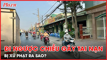 Tài xế xem thường pháp luật, đi ngược chiều gây tai nạn bị xử phạt ra sao? - PLO
