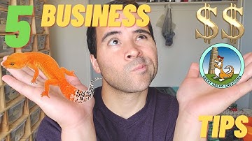 5 Business TIPS | Starting, Growing, Branding YOUR REPTILE BUSINESS (2021) $$