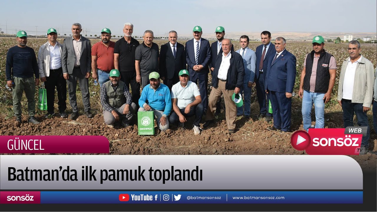 Batman&rsquo;da ilk pamuk toplandı
