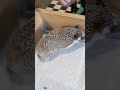антикафе "Ежеминутка".
