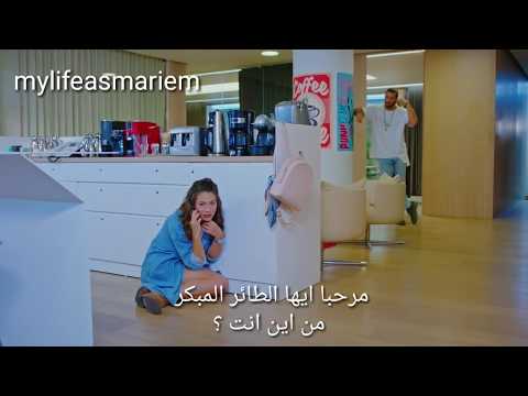 حصريا الحلقه 13 مسلسل الطائر المبكر مشهد مضحك مترجم  erkenci kuş 13