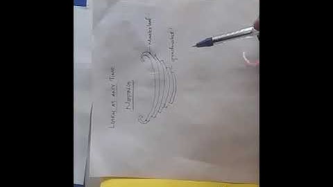 NIPPING IN LEAF SPRING