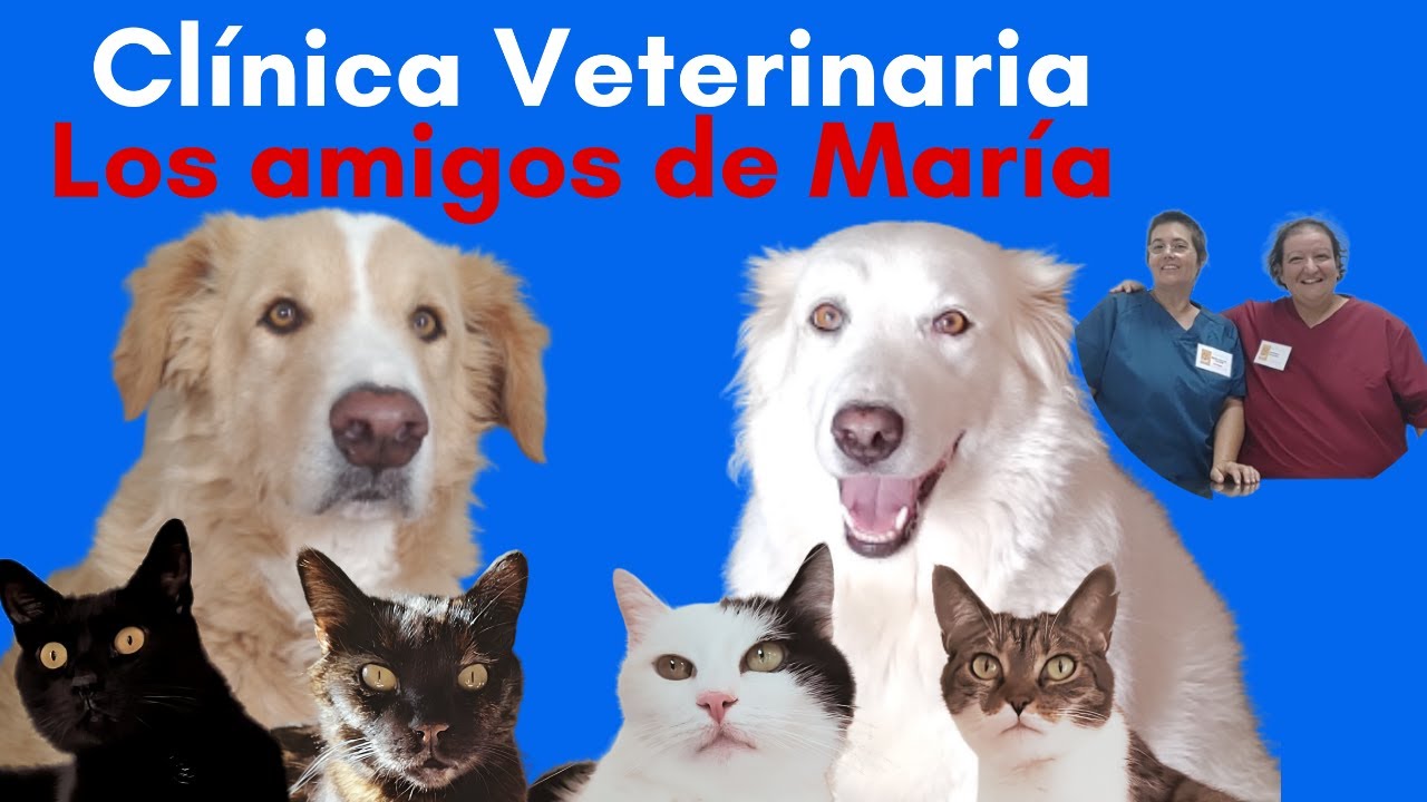 La nostra nuova vita: ce l'abbiamo fatta!