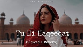 Tu Hi Haqeeqat [Slowed and Reverb ] Javed Ali | Tum Mile | Hello Mashup