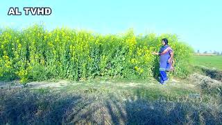 Village Life Funny Video Pakistanal Tv Hd