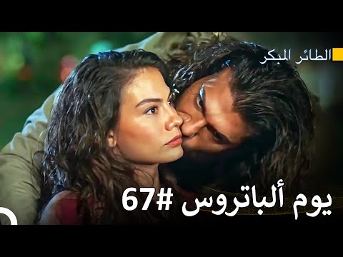 كل يوم بدونك مثل الجحيم سلسل الطائر المبكر