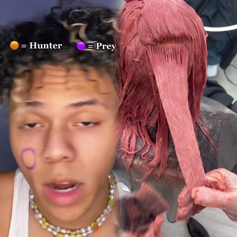 pov: everyone is either a hunter or a prey.. (PT.5!#pov #hunter#prey #fyPFIND YOUR ZODIAC SIGN INCOM