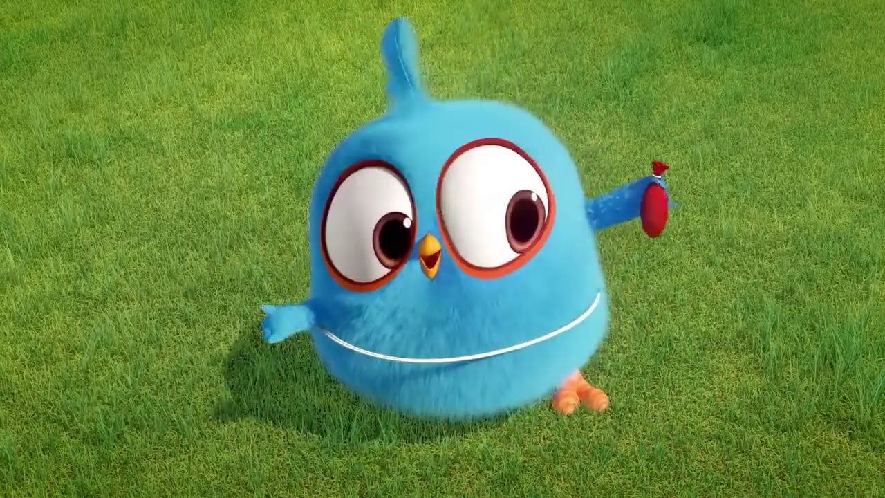 Kartun Anak Burung Lucu Banget Youtube