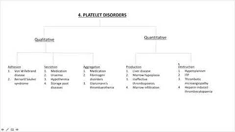 Algorithm 4 : Platelet disorders - DayDayNews