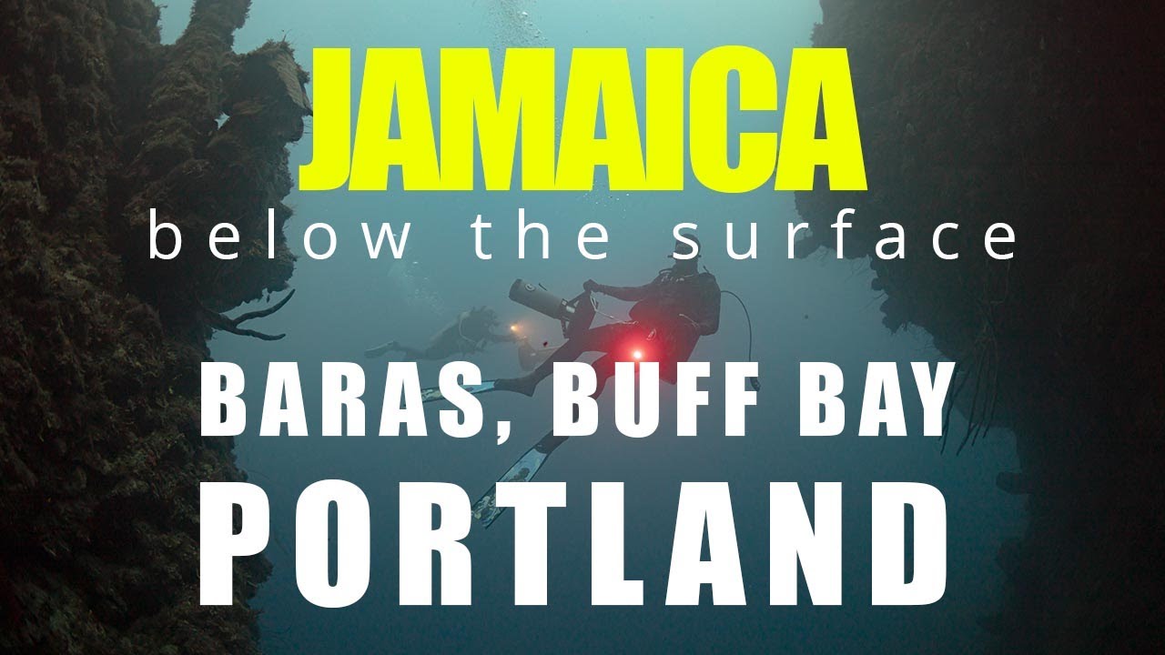 BARAS , BUFF BAY, PORTLAND YouTube