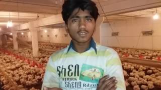 Interview With Pakistan Poultry Farm Worker, Noman Khizar Bhatti.